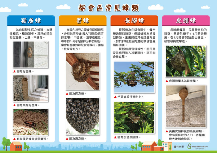 都會區常見蜂類