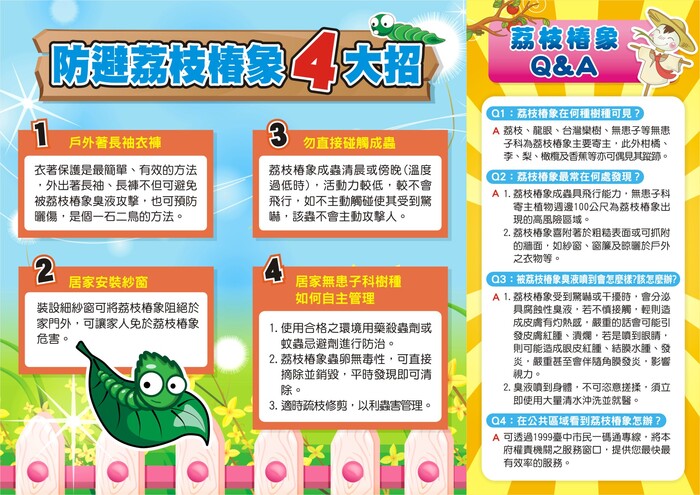防避荔枝椿象四大招