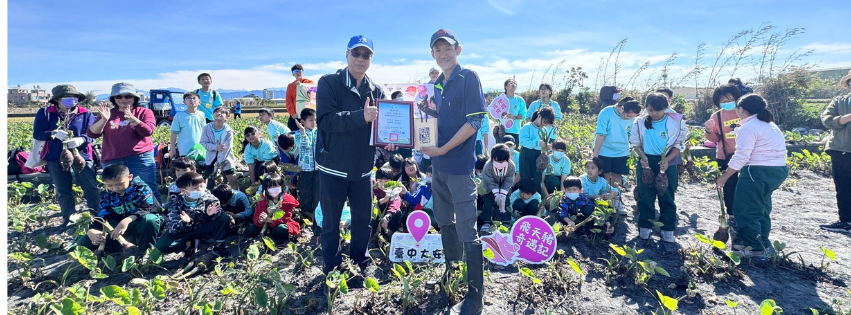 大安芋頭田體驗挖芋頭